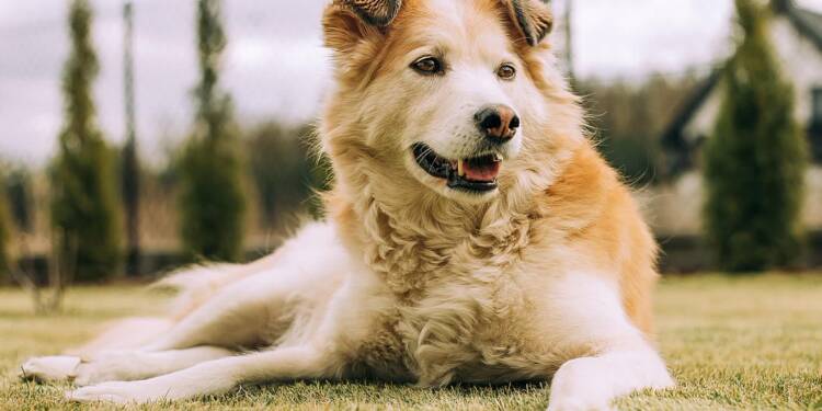 EAttachments86031918e916a38c81d33e601c12f1370370d15 xl