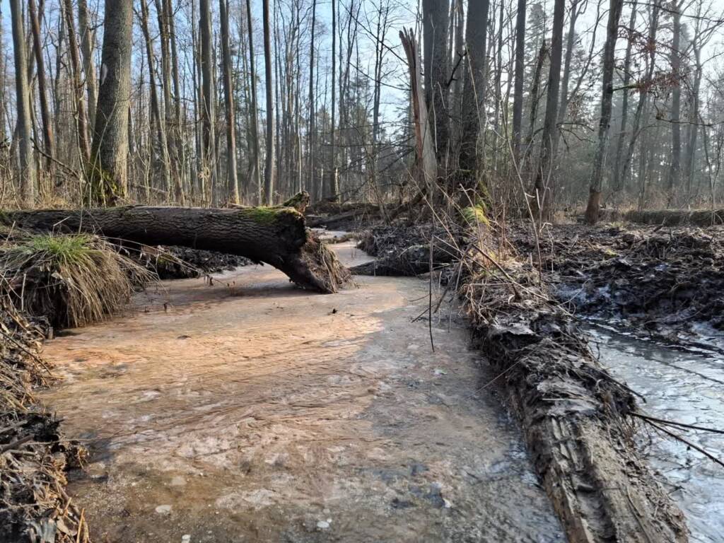 EAttachments8619636b632cd34edf0edb029f6786d91ad1fd9 xl