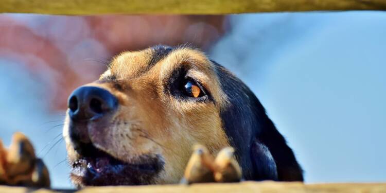 EAttachments86386473e0677515931d3cd74d8c15a7fdaf44d xl