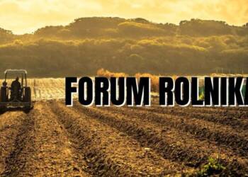 EAttachments866987235b63e46be23f10e3d66268b0e0afaf7 xl