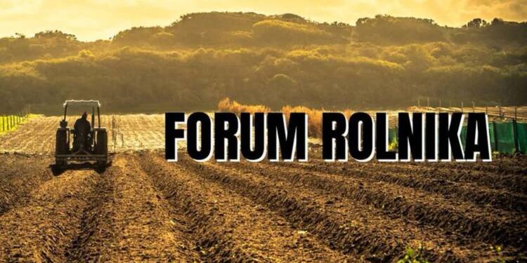 EAttachments866987235b63e46be23f10e3d66268b0e0afaf7 xl