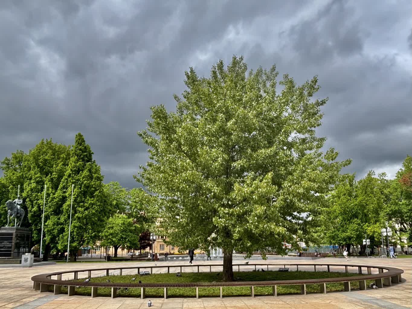 O czym szumią topole. Spacer historyczny w Lublinie