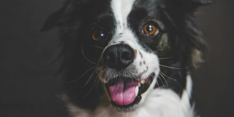 EAttachments88029146cad94d4021bad8c63ed03d4aad2c46b xl