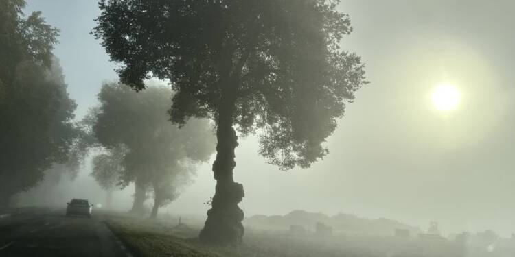 EAttachments90026968adbb98f9f8f478ee8900e9d8c8f534c xl 1