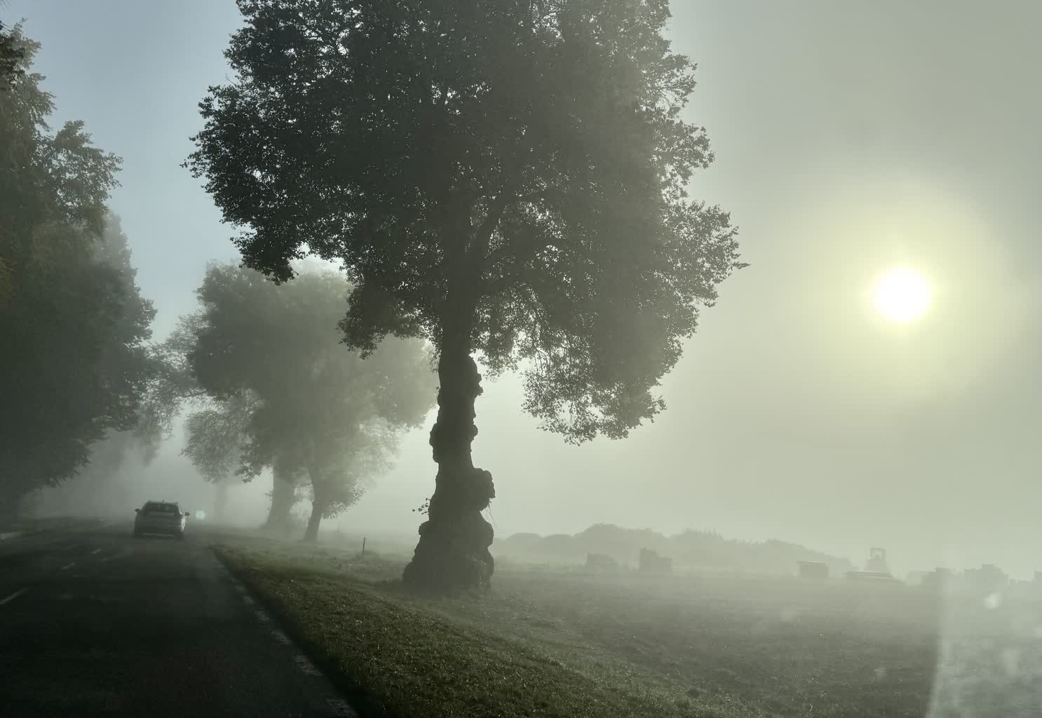 W części regionu będzie mgliście. Synoptycy ostrzegają