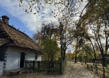 EAttachments903685232a8b6d199778c42a9d102d6730d1908 xl