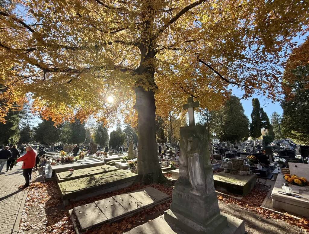 EAttachments90487525f69918cc756ef913f37dd05fd344b63 xl