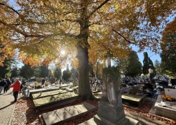 EAttachments90487525f69918cc756ef913f37dd05fd344b63 xl