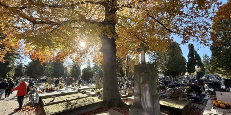 EAttachments90487525f69918cc756ef913f37dd05fd344b63 xl