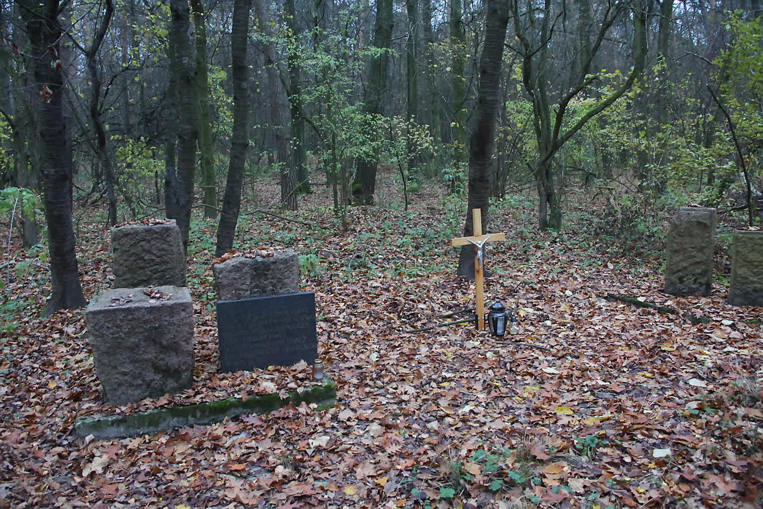 01.11.2025 Leśne wędrowanie