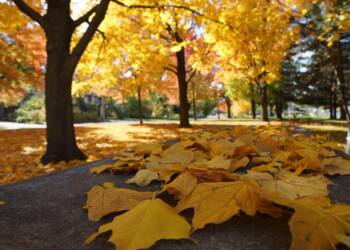 EAttachments9049820e73340e0760f3310e7a881ea39afe54d xl