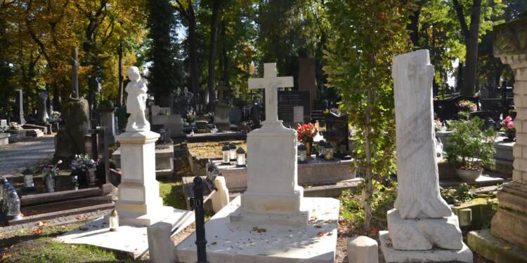 EAttachments9049960836e8db31aefa71c6460ecc047dc4c4c xl