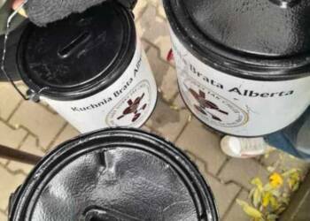 Lublin pomaga potrzebującym. Trwa kwesta Bractwa Miłosierdzia im. św. Brata Alberta 4 EAttachments9049963637a505516ddcf50dda94ddcba4c8fe0 xl