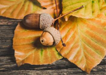 EAttachments90500407e6944906f0a8ae7614e57ebd4e15d1c xl