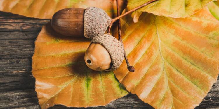 EAttachments90500407e6944906f0a8ae7614e57ebd4e15d1c xl