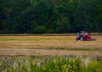 EAttachments90529729096fa282083648a92d93fa74798ae57 xl 1