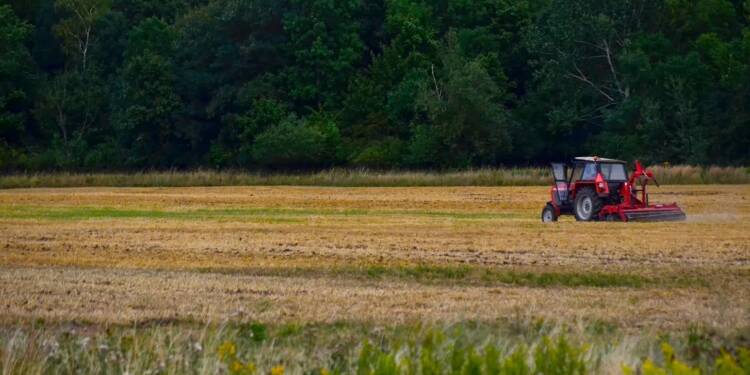 Rolnik odpowie za nielegalne zatrudnianie obcokrajowców 1 EAttachments90529729096fa282083648a92d93fa74798ae57 xl 1