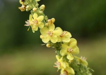 EAttachments90547833dfacf39865df9a9cd958c750025e76d xl