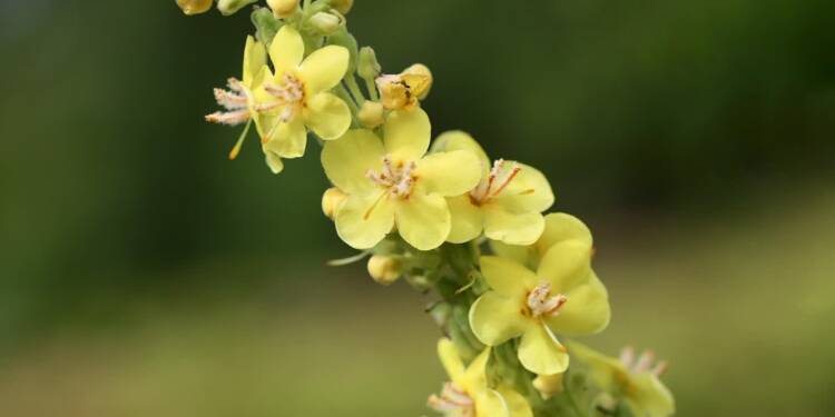 EAttachments90547833dfacf39865df9a9cd958c750025e76d xl