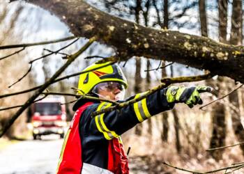 EAttachments90549290faa6a34fd70a31d628ae0303dfb6bbd xl