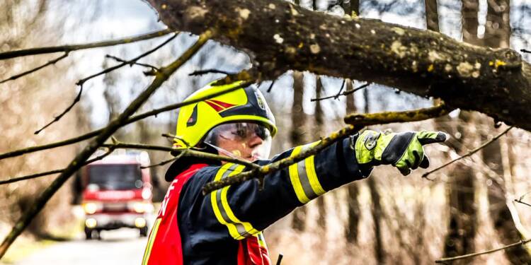 Drzewo powalone przez wiatr. Interweniowali strażacy 1 EAttachments90549290faa6a34fd70a31d628ae0303dfb6bbd xl