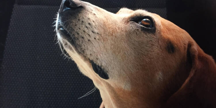 EAttachments90555367b234085b48a29dfc40ff96b86a4410a xl