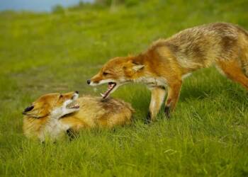 EAttachments9056878b960fbf744c6c5eeea7d06f99539208c xl 1