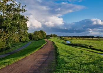 Jak współcześnie chronić przyrodę? Eksperci spotkali sie w Lublinie 2 EAttachments905986935d4d7541a8e6887e76f148bf985636f xl