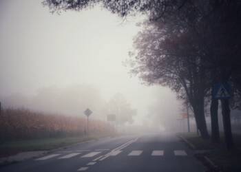 IMGW ostrzega przed gęstą mgłą. Widzialność spadnie do 200 metrów 3 EAttachments90602844326313e572773f5e8305a5dd6b02676 xl