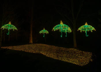 EAttachments906141930585d817223c6b369de9d9793b75b00 xl