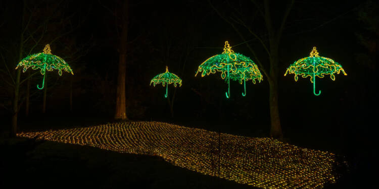 EAttachments906141930585d817223c6b369de9d9793b75b00 xl