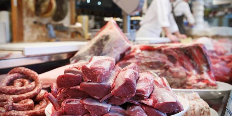 EAttachments9061549da0914d9f8d5e754a2658eb27bc486e5 xl