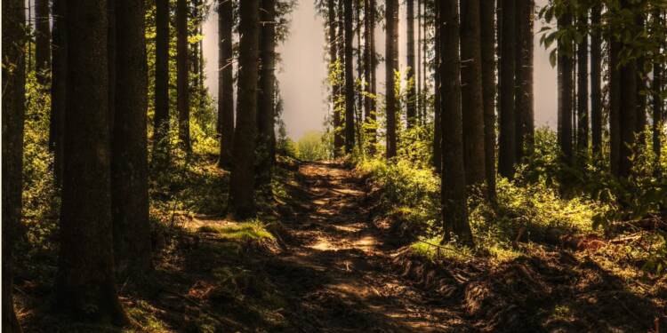 EAttachments9061619f9946a64325786caa49b36565e70fbfa xl