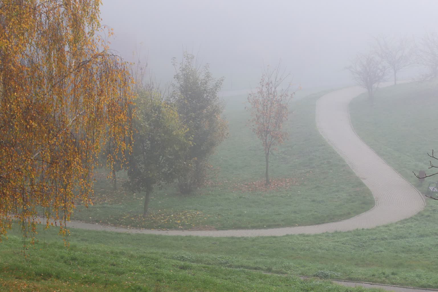 Gęste mgły ograniczające widzialność miejscami. Alert pierwszego stopnia dla ośmiu powiatów