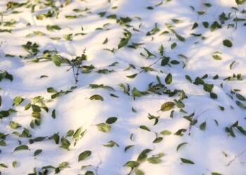 EAttachments9063261682fcef37b0ce3233ae942ec3581170c xl