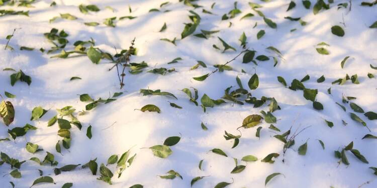 EAttachments9063261682fcef37b0ce3233ae942ec3581170c xl