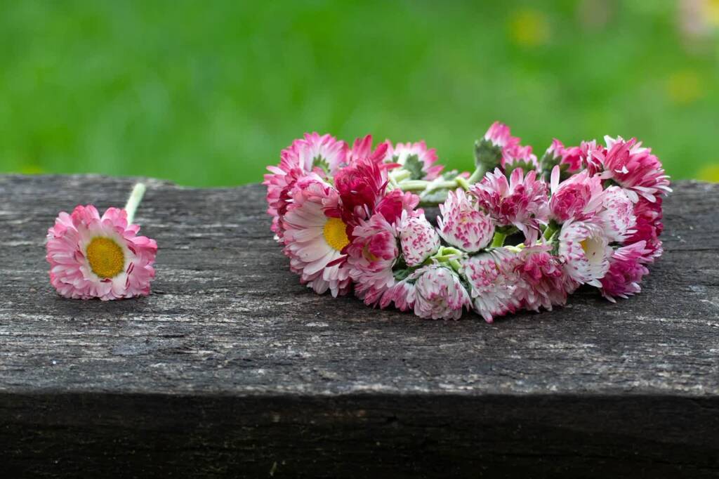 EAttachments906326674936bf739519182456cdd5a6a6d709a xl