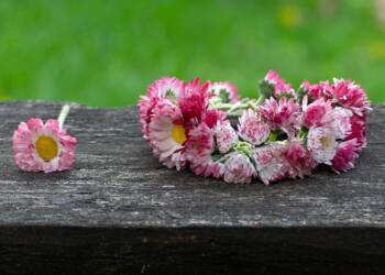 EAttachments906326674936bf739519182456cdd5a6a6d709a xl