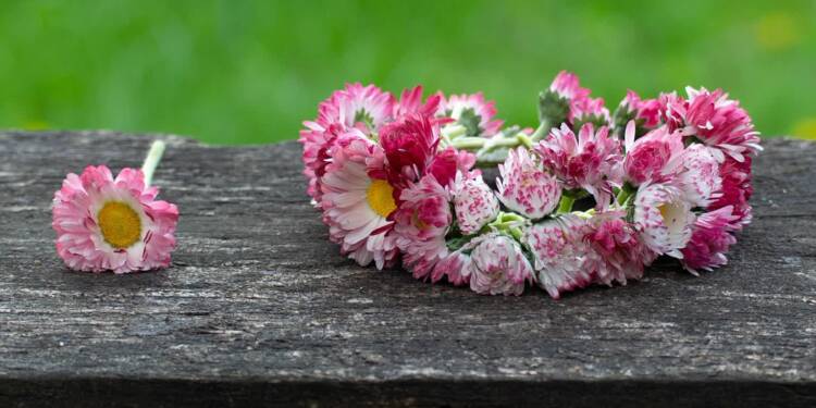 EAttachments906326674936bf739519182456cdd5a6a6d709a xl