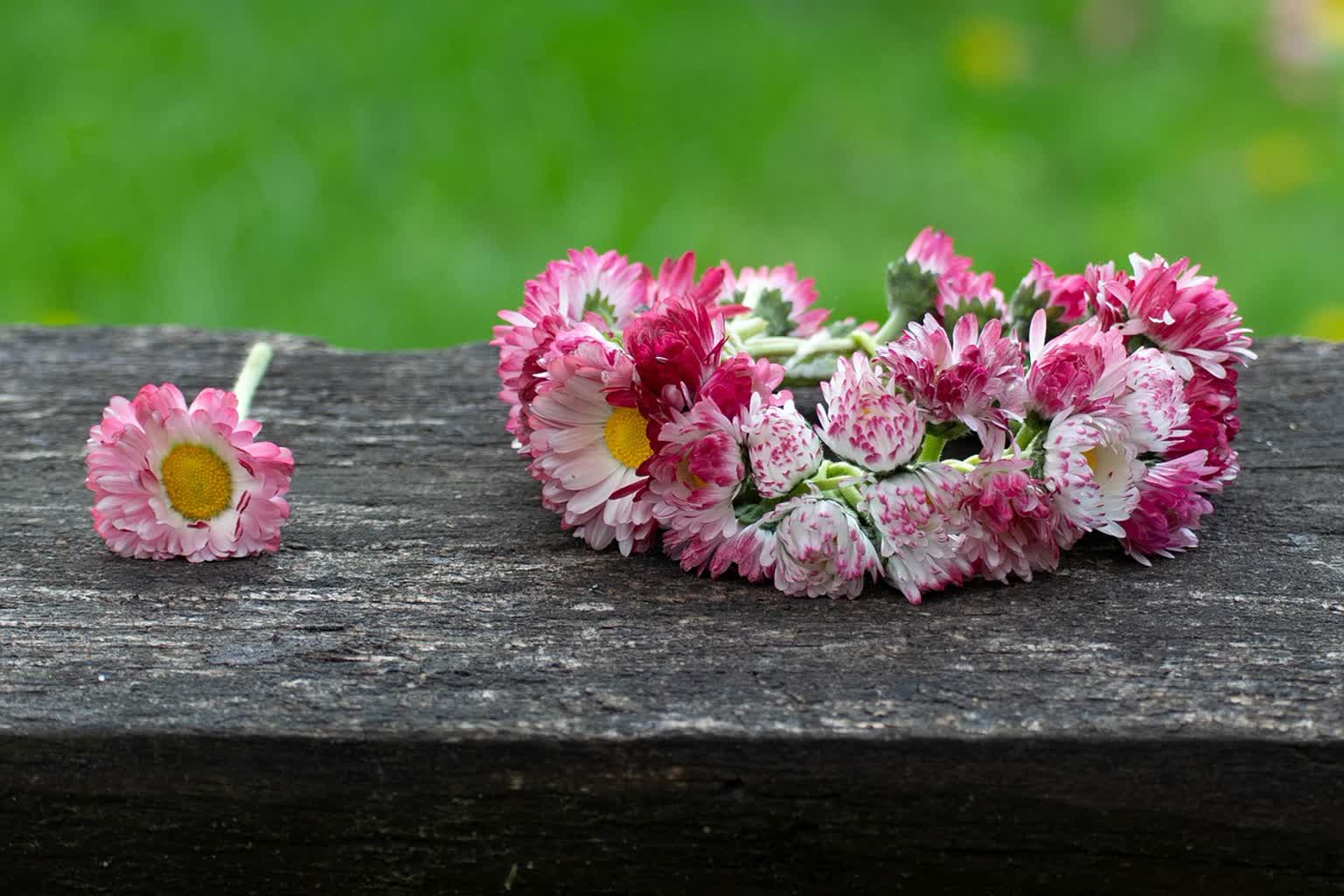 08.11.2025 Etnosfera