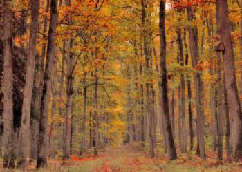 EAttachments90632763869f9235db3aee480f56ce031581c22 xl