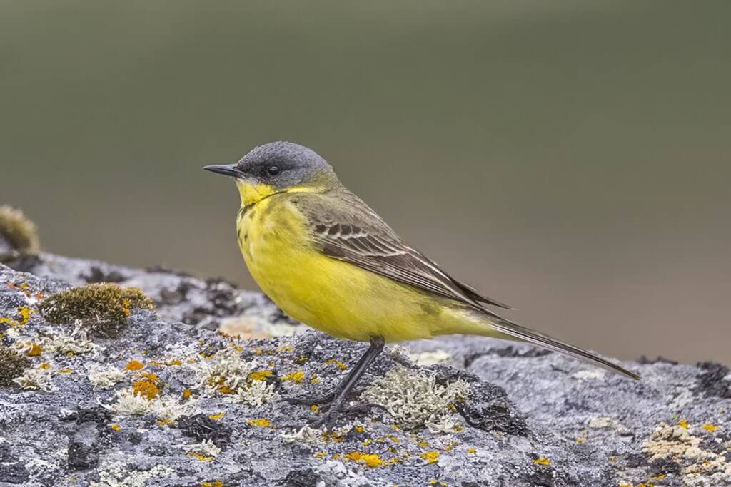 EAttachments9063755522c4cf247b7dece0d852edb34b7598d xl