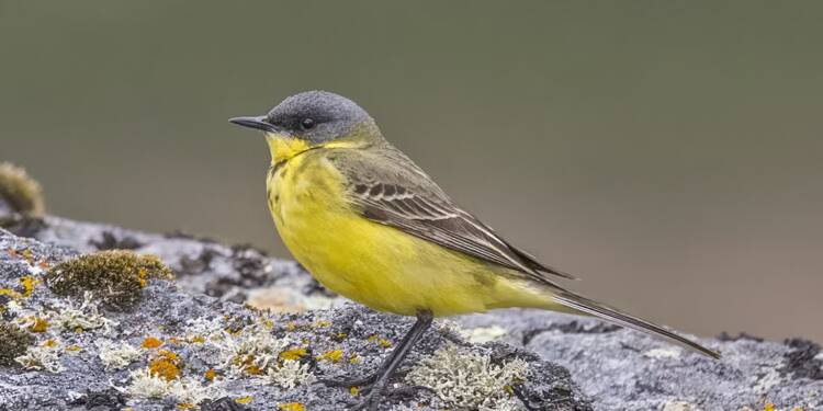 EAttachments9063755522c4cf247b7dece0d852edb34b7598d xl