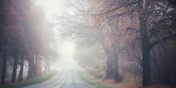 Weekend z mgłami, chmurami i miejscowymi opadami. Prognoza pogody na 8 i 9 listopada 1 EAttachments906378240f0dfe0a229202645c1a94060089d4a xl