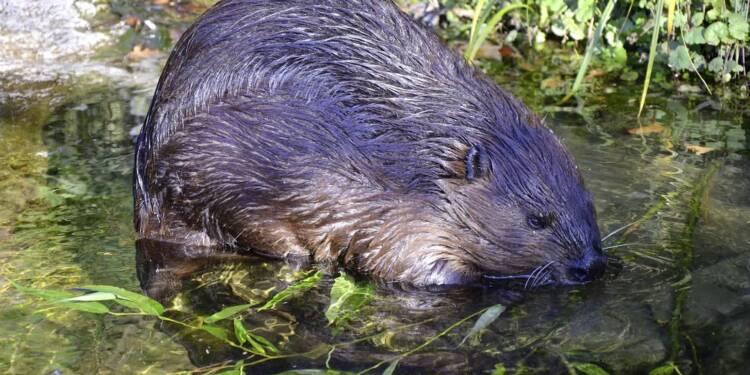 EAttachments906666297ed86994026655ed548e4e49da8f3f7 xl