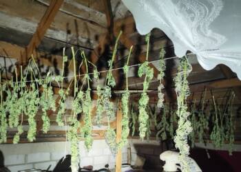 EAttachments906681593203c4c9230ab83b2cb53e3d08859de xl