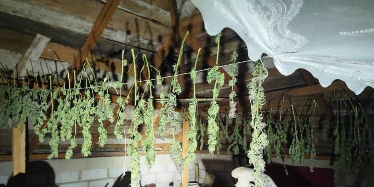 EAttachments906681593203c4c9230ab83b2cb53e3d08859de xl