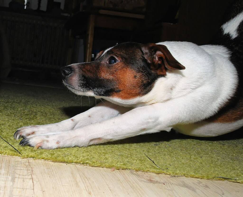 EAttachments90675461a343be0ba43704ca83f3bfd9d9d733c xl