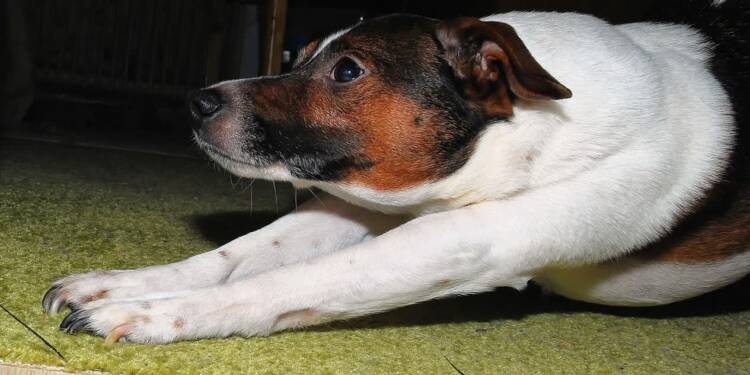 EAttachments90675461a343be0ba43704ca83f3bfd9d9d733c xl