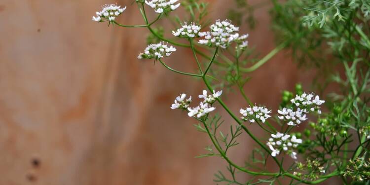 EAttachments90683635f05d2f1f33b82aaad9d016b5382e8e5 xl